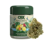 Tropical Lemonade (S) (3.5g)