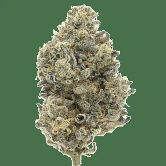 Ztan Lee (3.5g) Ztan Lee (3.5g)