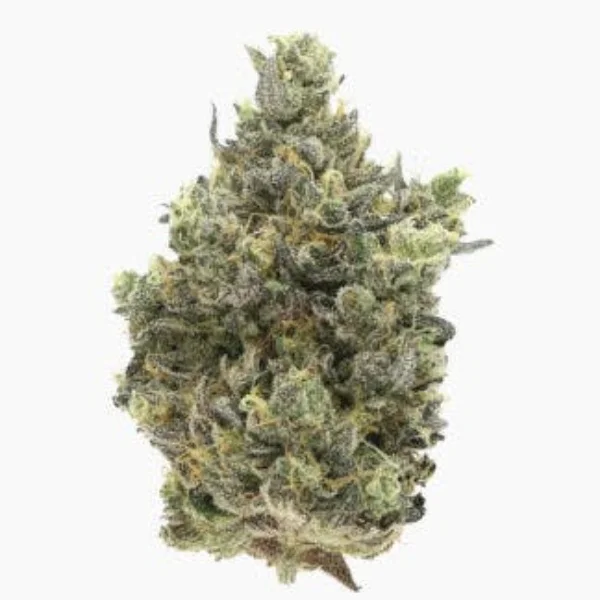 Sherb X Fumez #14 (3.5g) (H)