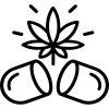 CAPSULES