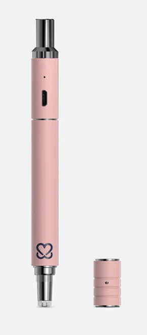 Pink Terp Pen