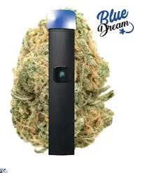 Blue Dream 1g Justplay Disposable