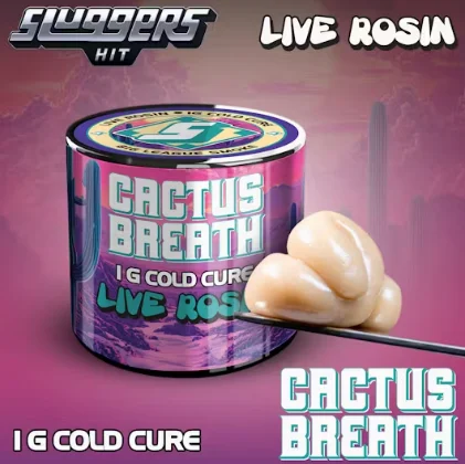 Cactus Breath 1g Live Rosin
