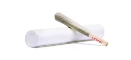 Forbidden Fruit Infused 1g Preroll