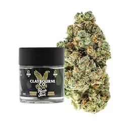 Grape Gasolina Flower 1g