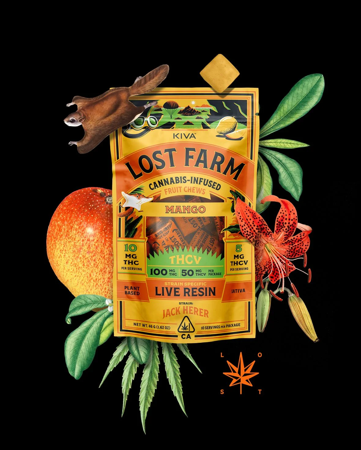 Mango Jack Herer Chews Thcv 10:5