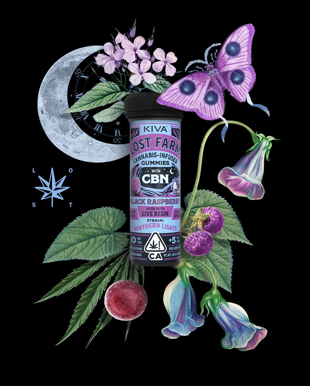 Black Raspberry Northern Lights Cbn 10:5 Gummies